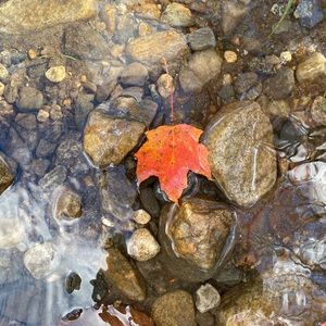 Meet your Posher, Mariah